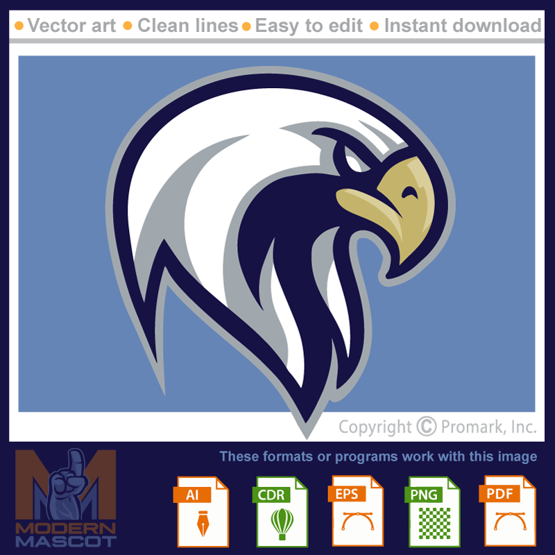 Eagle Head 6- eagle_22_06