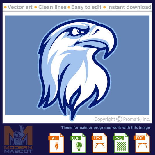 Eagle Head 7 - eagle_22_08