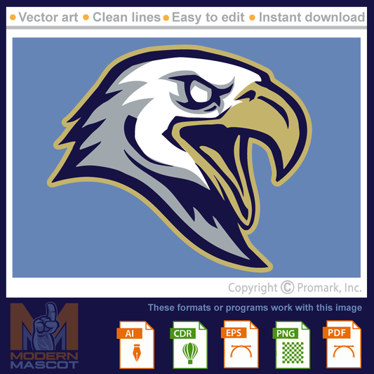 Eagle Head 8 -  eagle_22_11