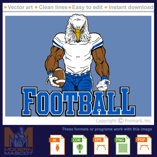 Eagle Football 1 - eagle_22_football_01