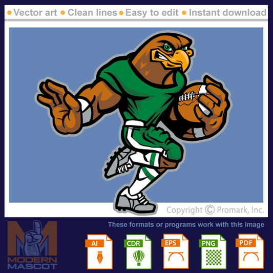 Eagle Football2 - eagle_22_football_02