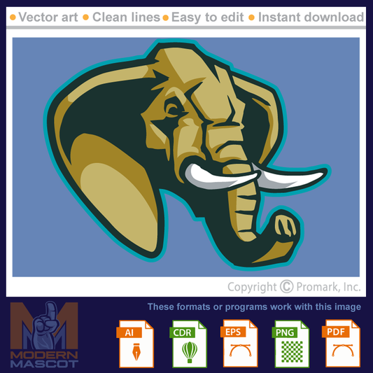 Elephant Head 2 - elephant_04_22