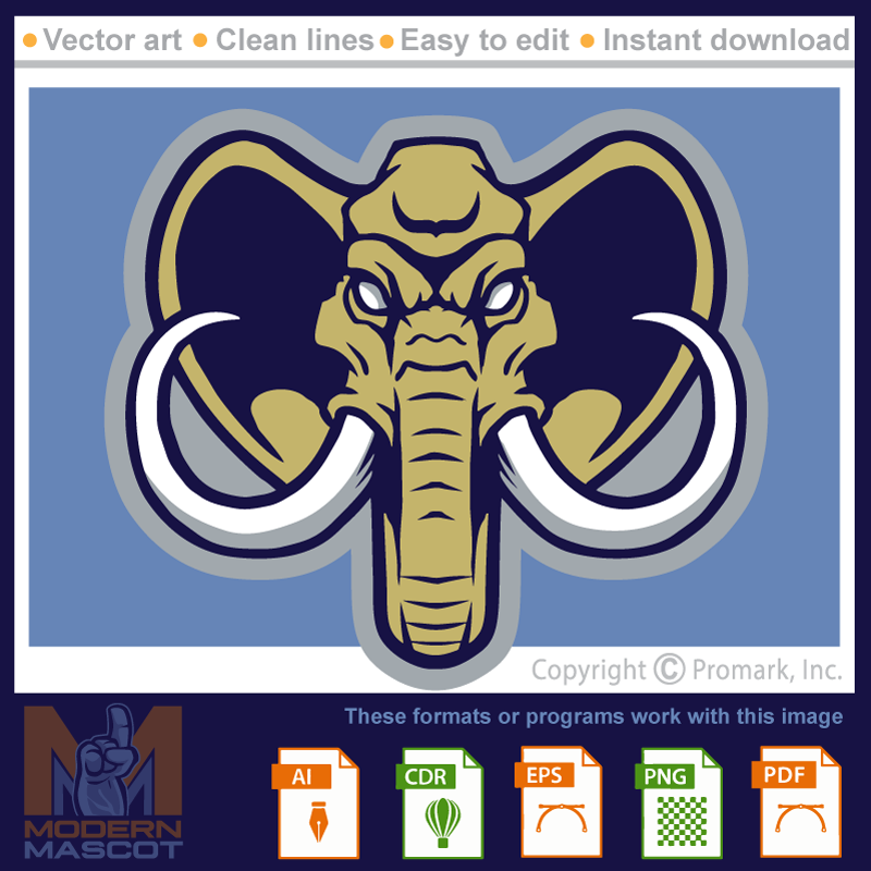 Elephant Head 7 - elephant_07_22