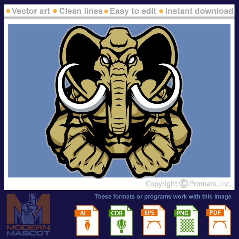 Elephant Muscle - elephant_22_fitness_01