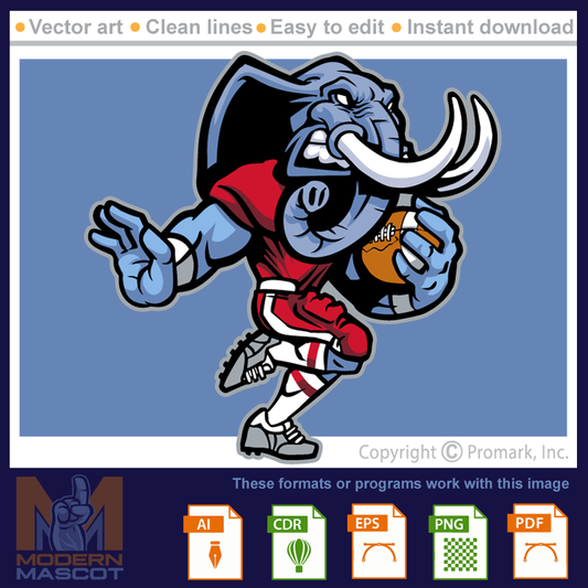 Elephant Football - elephant_22_football_01
