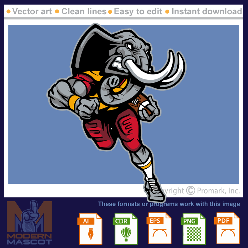 Elephant Football 3- elephant_22_football_03