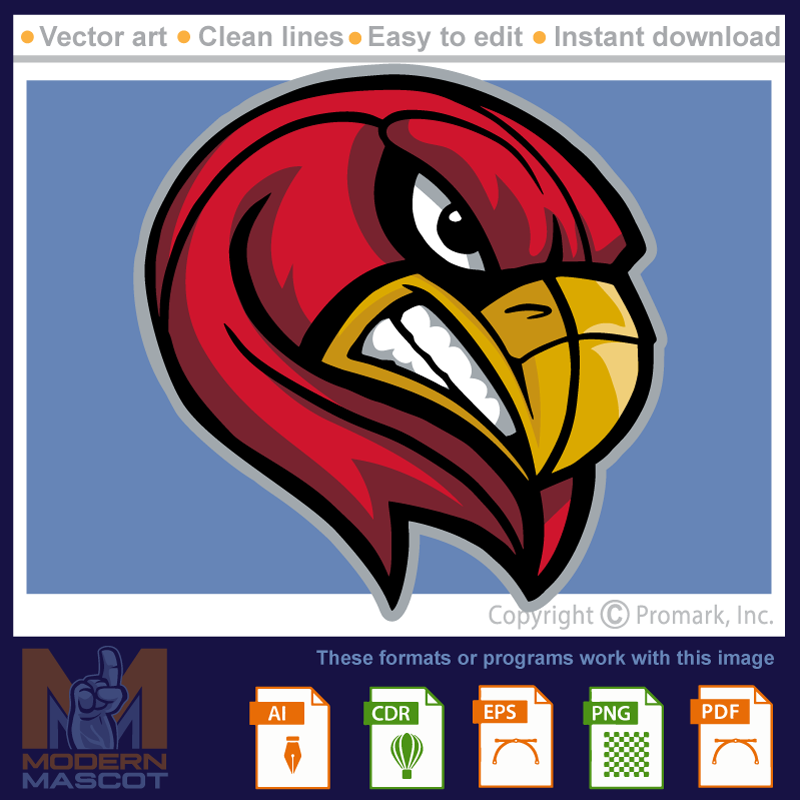 Falcon Head 3 - falcon_22_03