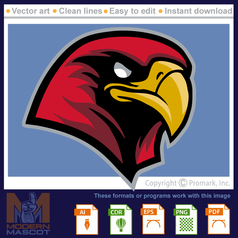 Falcon Head 4 - falcon_22_04
