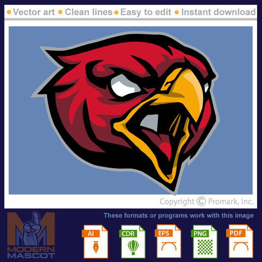 Falcon Head 5 - falcon_22_05