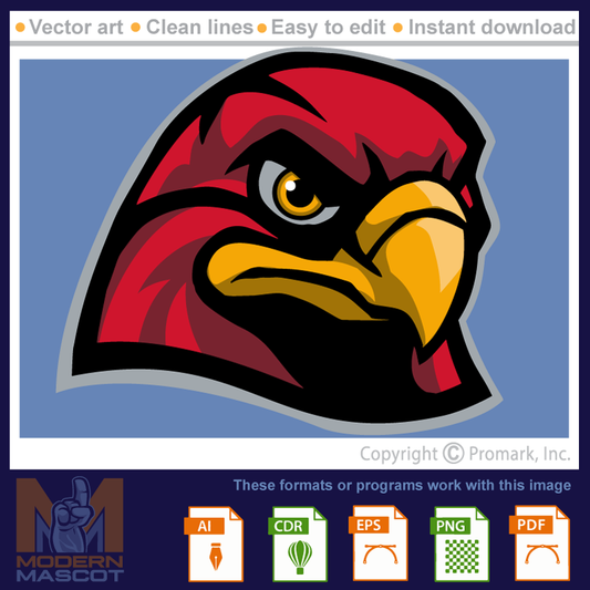 Falcon Head 8 - falcon_22_08