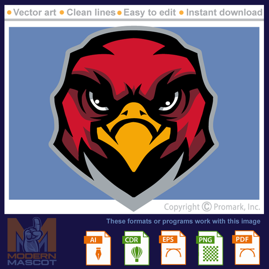 Falcon Head 10 - falcon_22_10