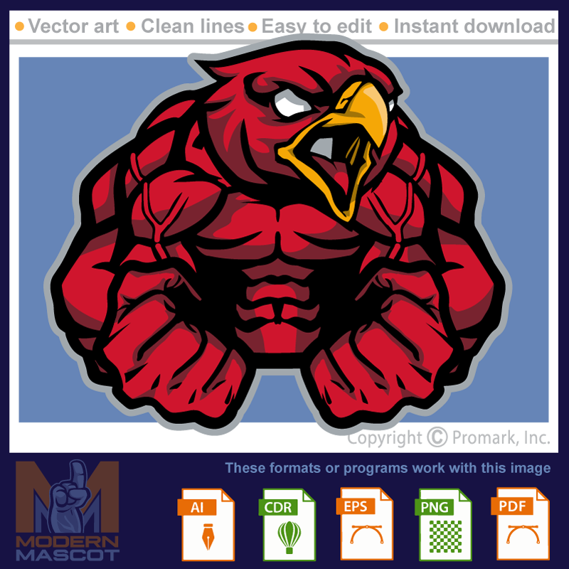 Falcon Muscle 1 - falcon_22_fitness_01