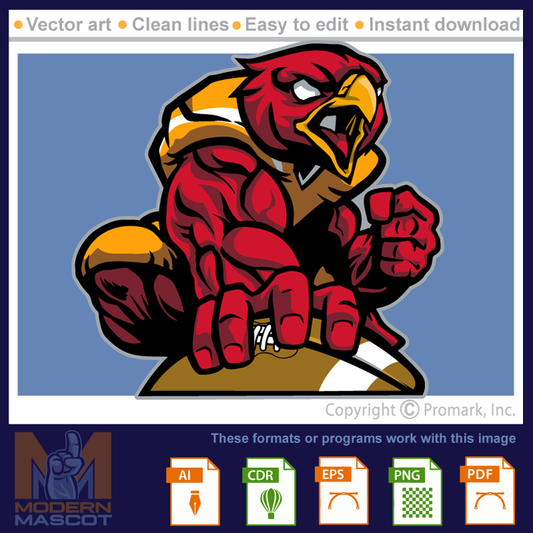 Falcon Football 1 - falcon_22_football_01