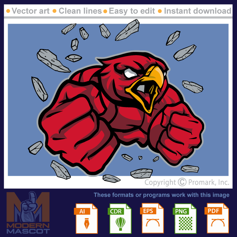 Falcon Muscle 1 - falcon_22_muscle_01