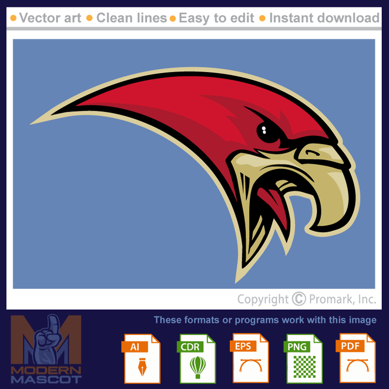 Hawk logo 1- hawk_22_01