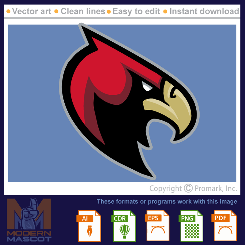 Hawk Logo 3 - hawk_22_04