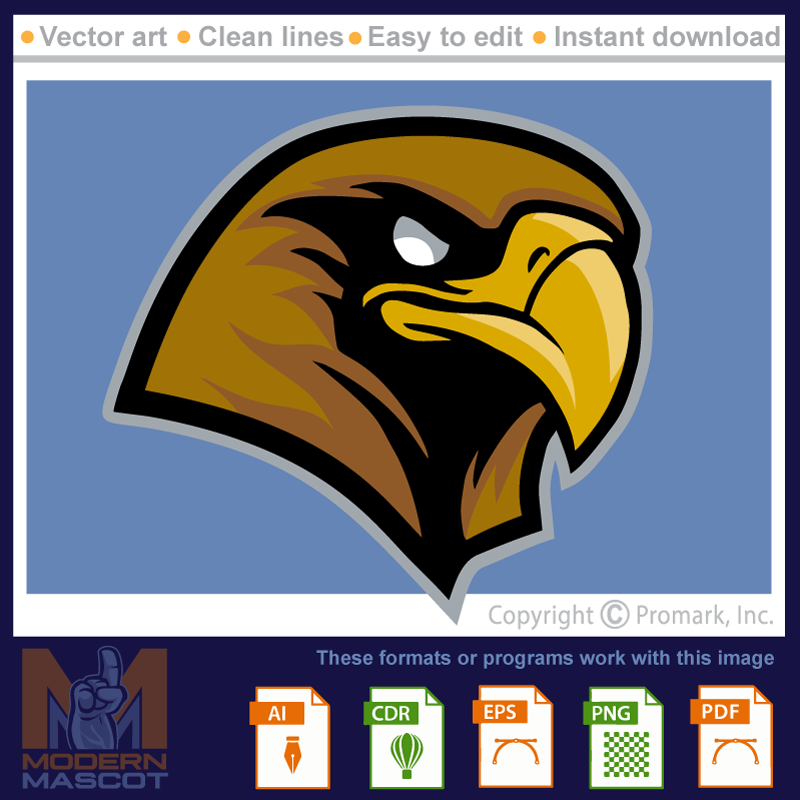 Hawk Head 2 - hawk_22_05