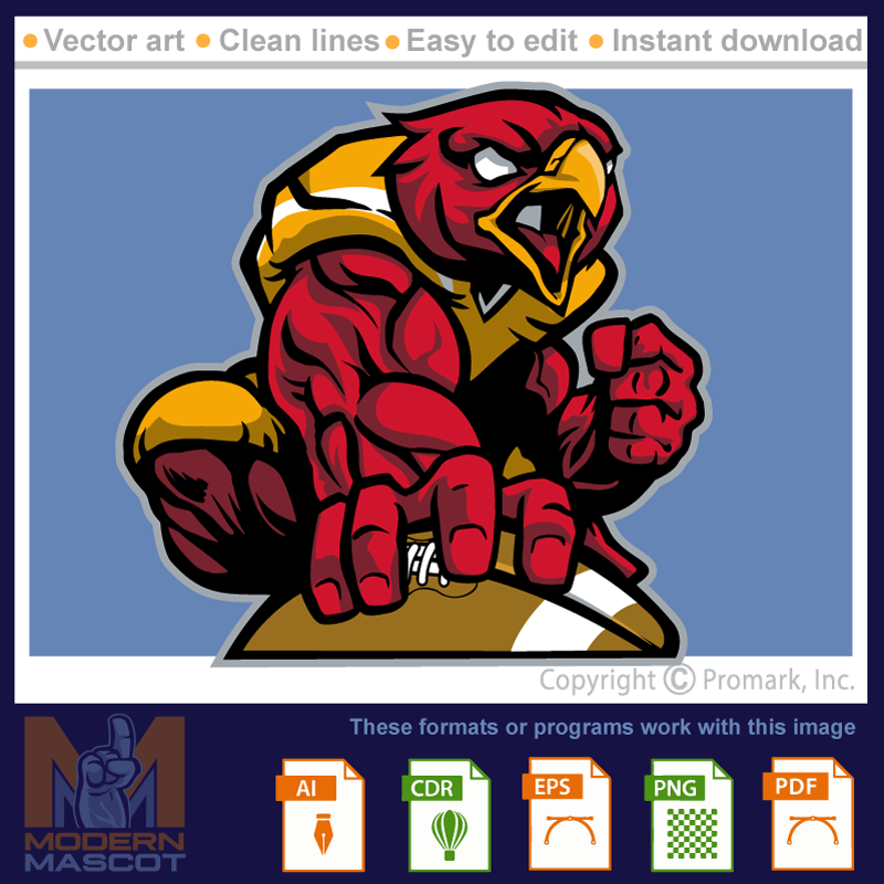 Hawk Football 1 - hawk_22_football_01