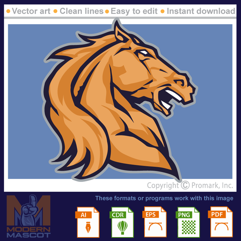 Horse Head 7 - horse_22_07