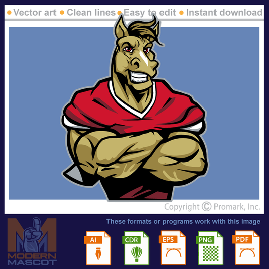 Horse Football 2 - horse_22_football_02