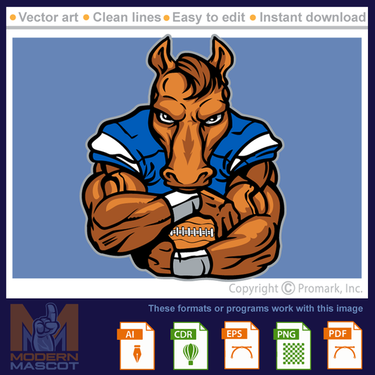 Horse Football 5 - horse_22_football_05