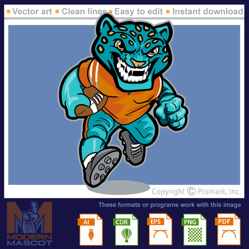 Jaguar Football 1 - jaguar_22_football_01
