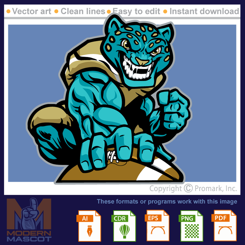 Jaguar Football 6 - jaguar_22_football_06