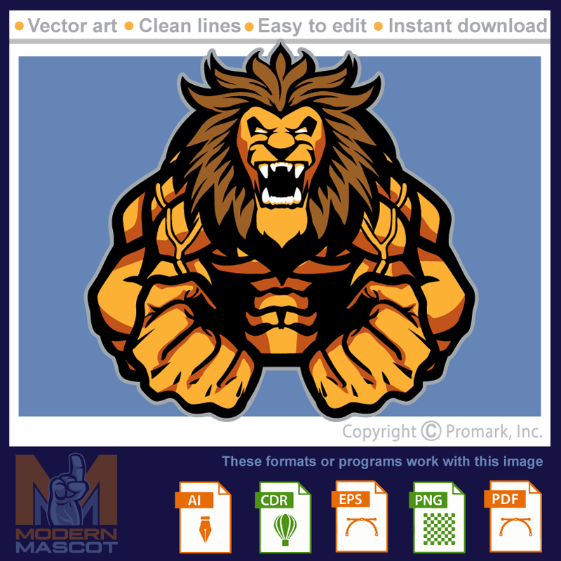 Lion Muscle - lion_22_33