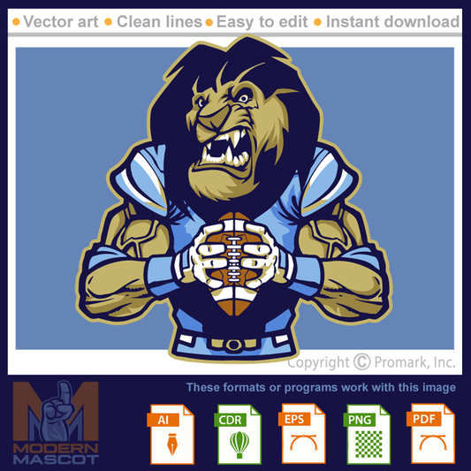 Lion Football 1 -lion_22_football_01