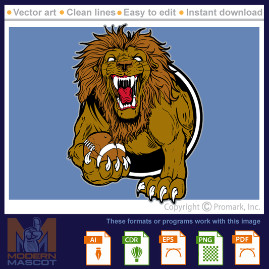 Lion Football 8- lion_22_football_08