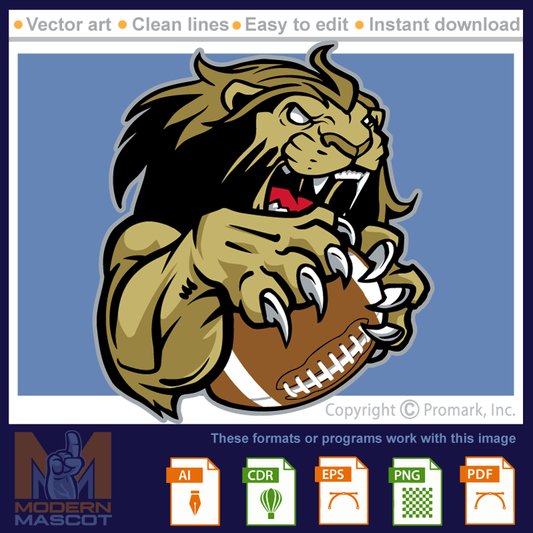 Lion Football 9 - lion_22_football_09