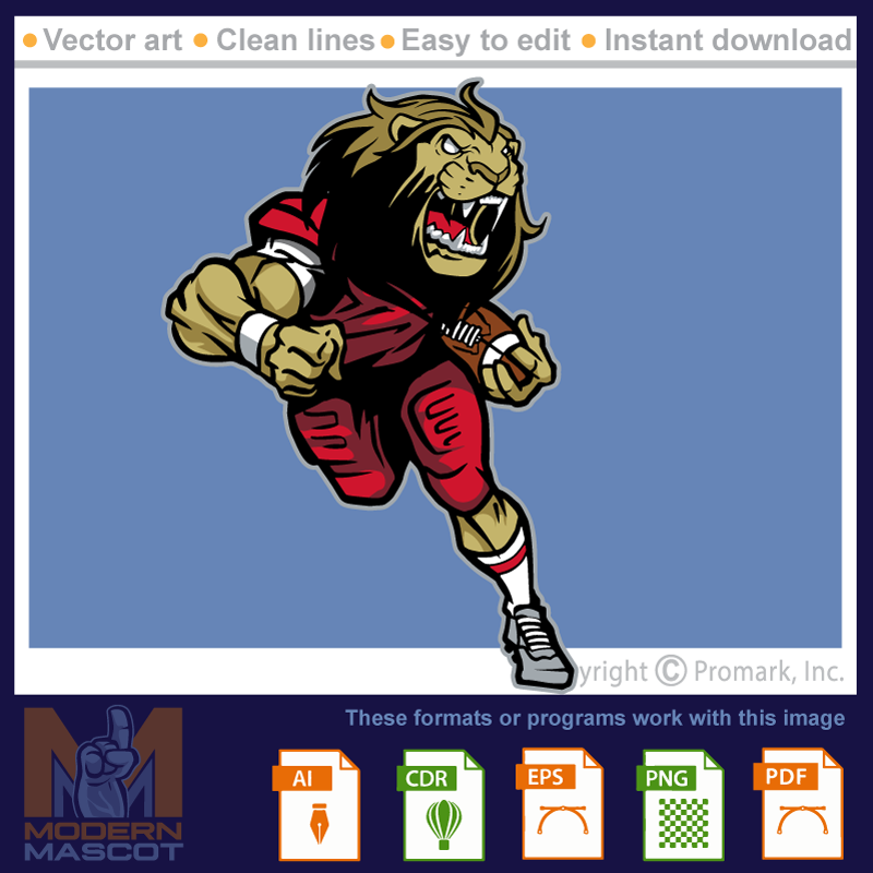 Lion Football 11 - lion_22_football_11