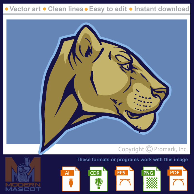 Lioness Head - lioness_22_01