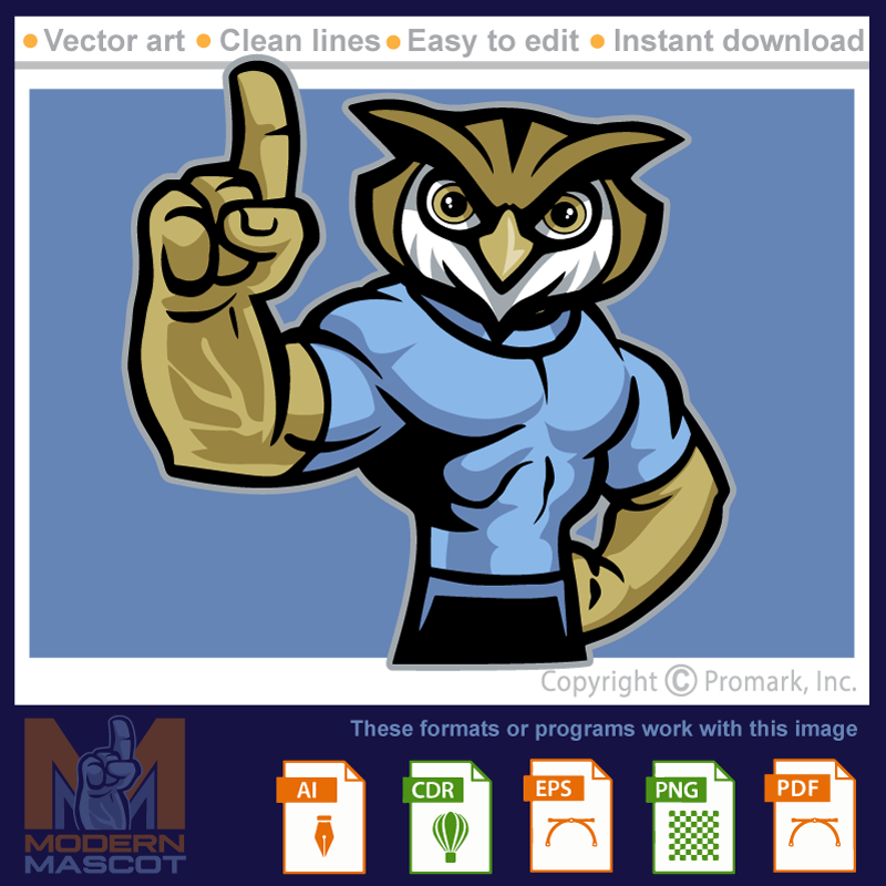 Owl Spirit 1 - owl_22_spirit_01