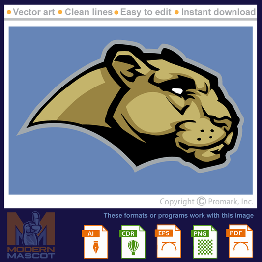 Panther Head 8 - panther_22_08