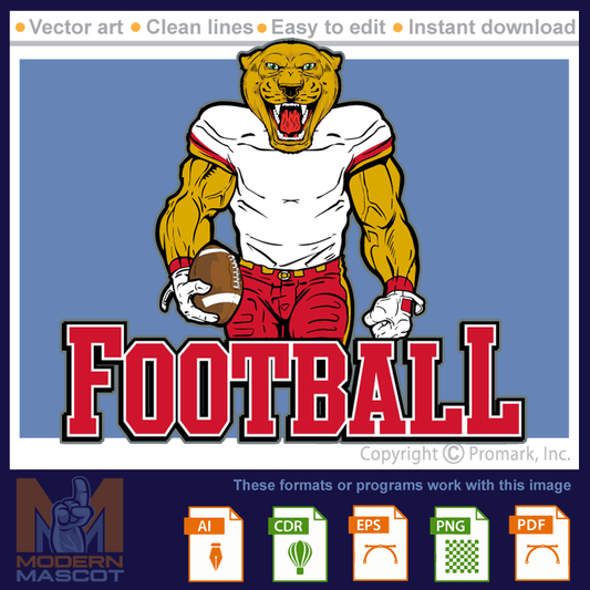 Panther Football 1 - panther_22_football_01