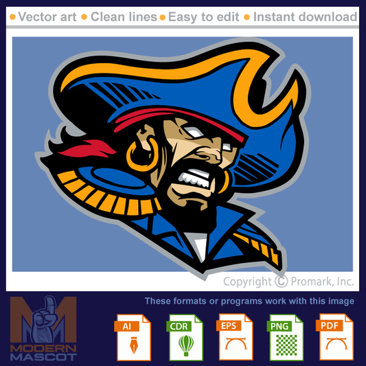 Pirate Head logo - pirate_22_08
