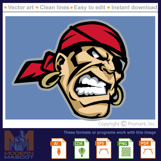 Pirate / Raider Head 2 - pirate_22_12