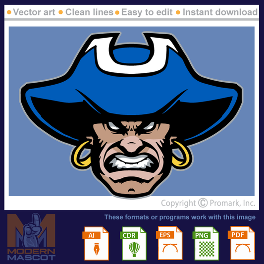 Pirate Head 13 - pirate_22_13