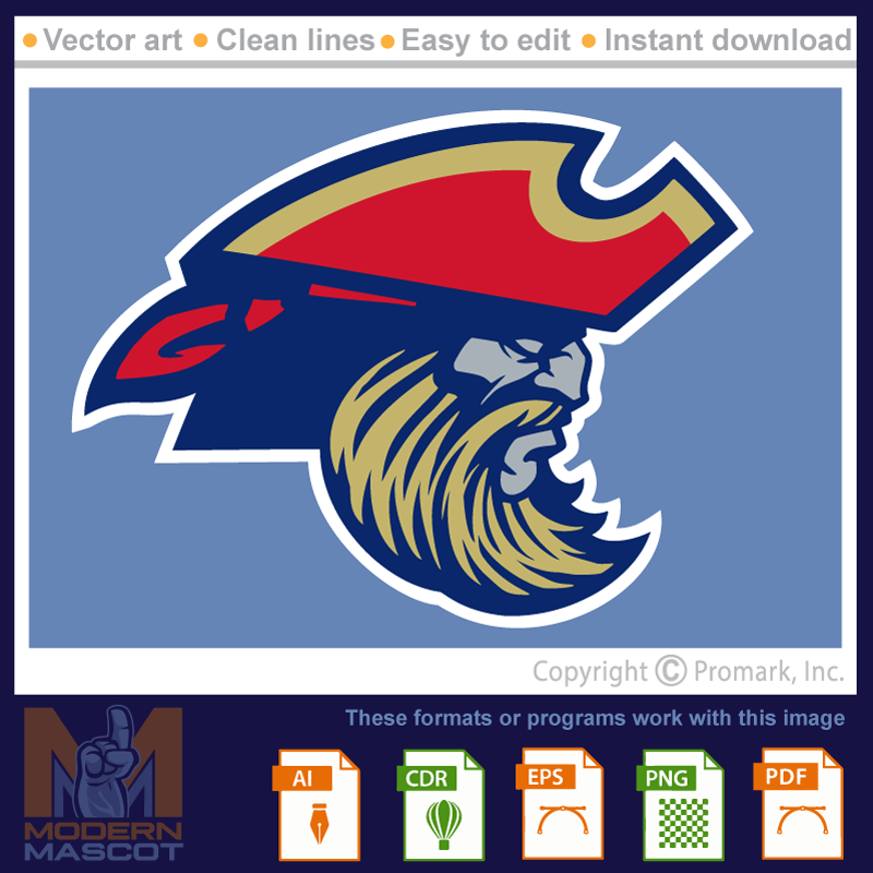 Pirate Head 15 - pirate_22_15