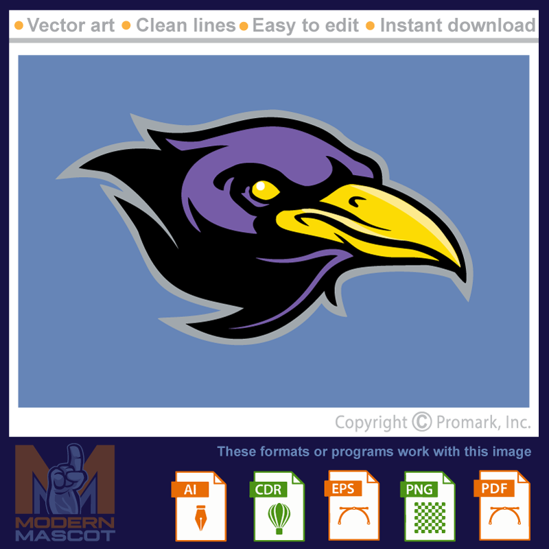 Raven 1 - raven_22_01