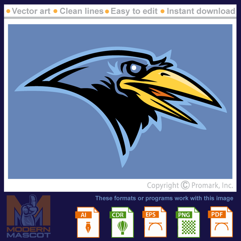 Raven 4 - raven_22_04