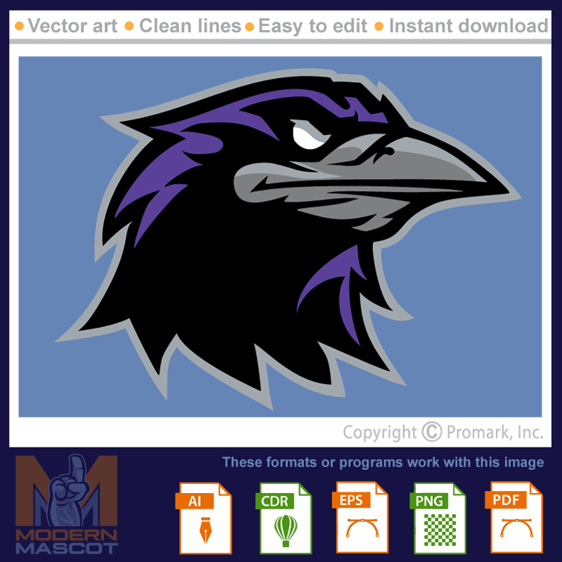 Raven 7 - raven_22_07