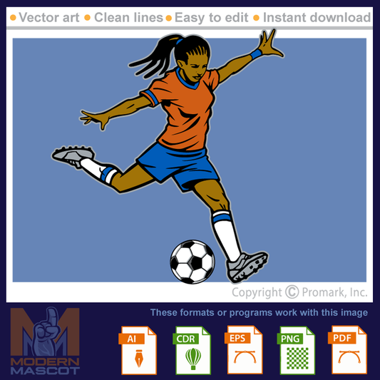 Soccer Girl 9 - soccer_22_girls_09
