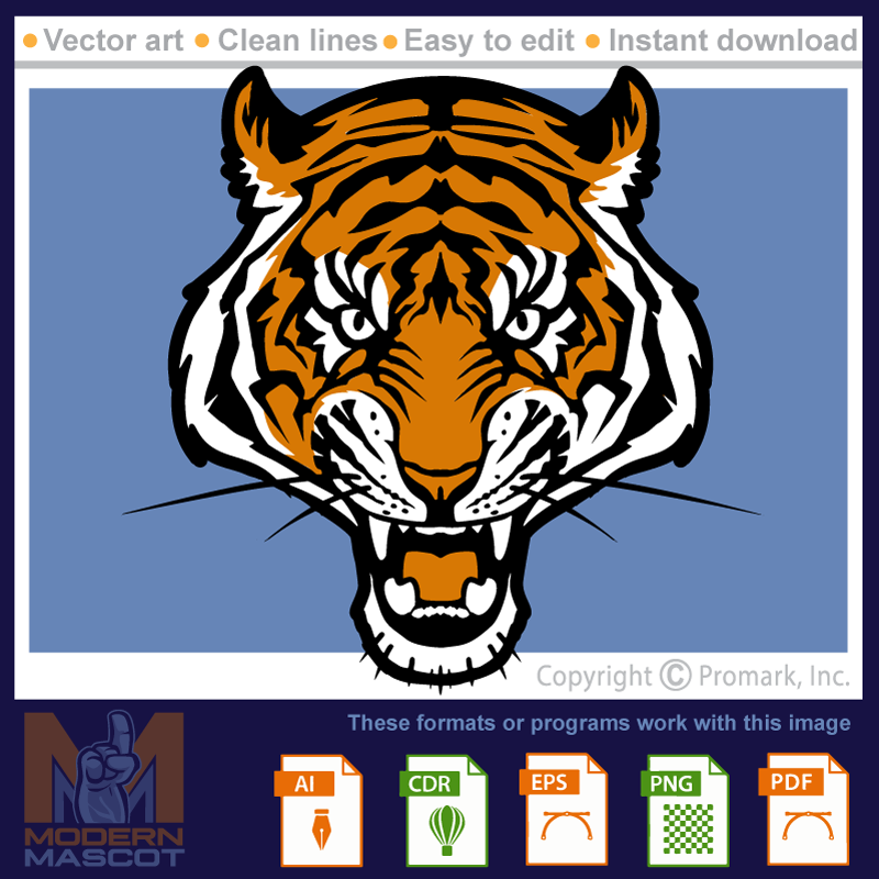 Tiger Head 1 - tiger_22_01
