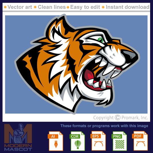Tiger Head 3 - tiger_22_03