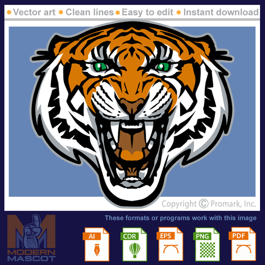 Tiger Head 7 - tiger_22_07