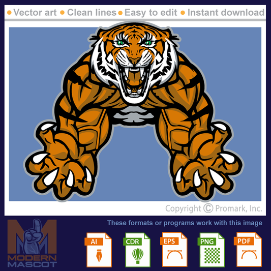 Tiger Muscle - tiger_22_17