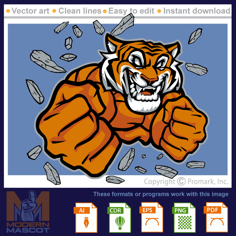 Tiger Muscle - tiger_22_19
