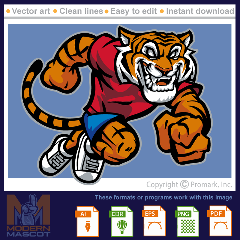 Tiger Running - tiger_22_21